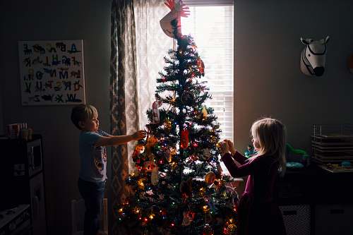 christmas tree girl and boy standing near Christmas tree plant